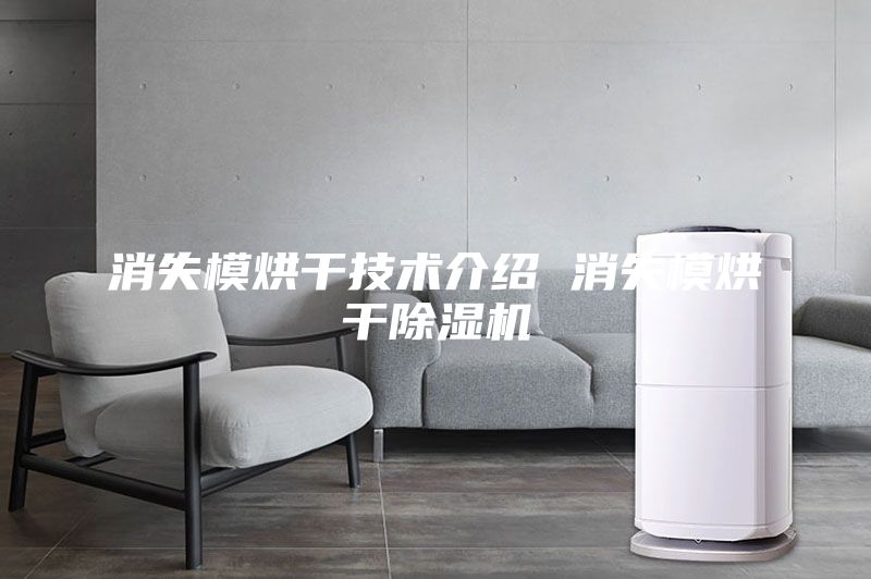 消失模烘干技术介绍 消失模烘干除湿机