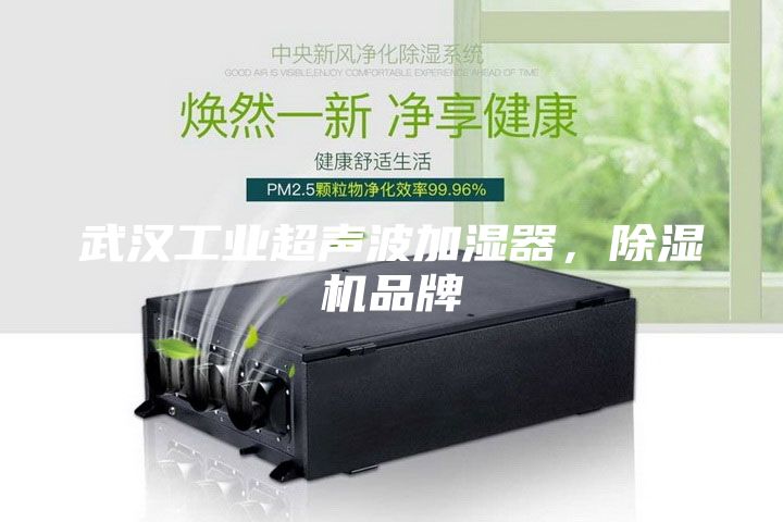 武汉工业超声波加湿器，除湿机品牌