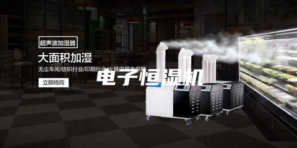 电子恒湿机