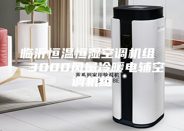临沂恒温恒湿空调机组  3000风量冷暖电辅空调机组