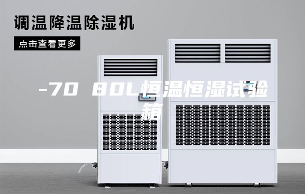 -70℃80L恒温恒湿试验箱