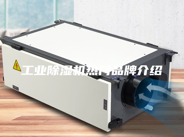 工业除湿机热门品牌介绍