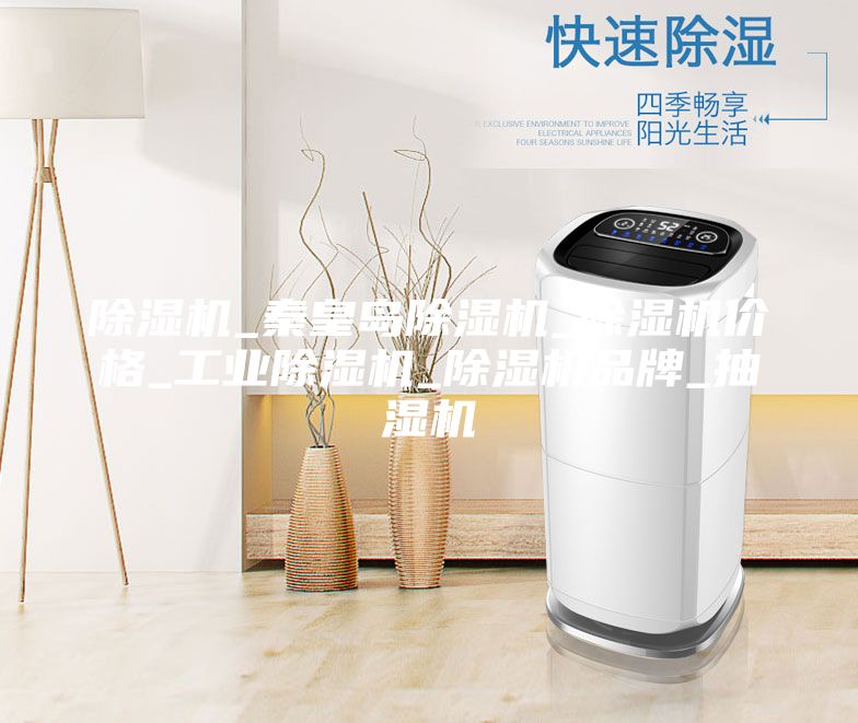 除湿机_秦皇岛除湿机_除湿机价格_工业除湿机_除湿机品牌_抽湿机