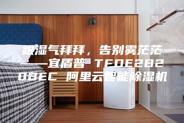 跟湿气拜拜，告别雾茫茫——宜盾普 TFDE2B20BEC 阿里云智能除湿机