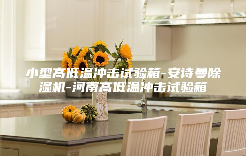小型高低温冲击试验箱-安诗曼除湿机-河南高低温冲击试验箱