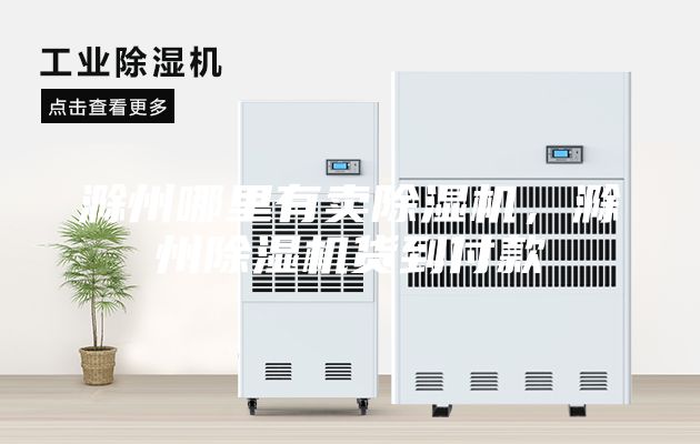 滁州哪里有卖除湿机，滁州除湿机货到付款