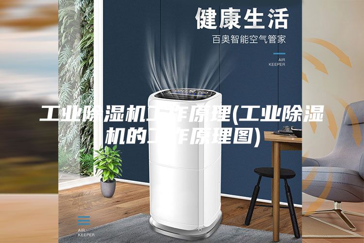 工业除湿机工作原理(工业除湿机的工作原理图)
