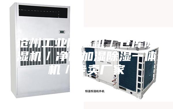 沧州工业除湿机／仓库除湿机／净化加湿除湿一体机／专卖厂家