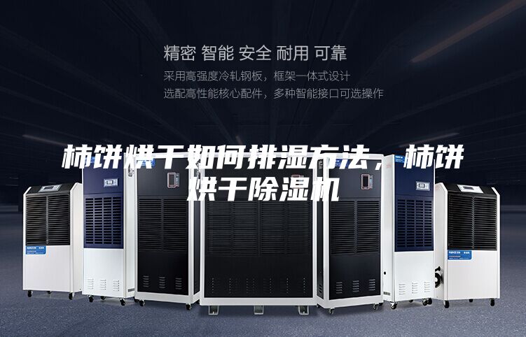 柿饼烘干如何排湿方法,柿饼烘干除湿机