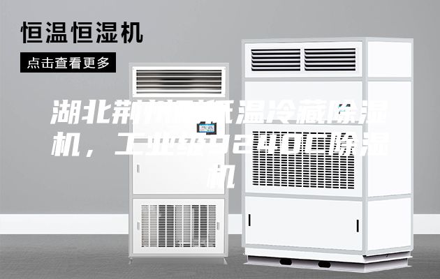 湖北荆州耐低温冷藏除湿机，工业级9240C除湿机