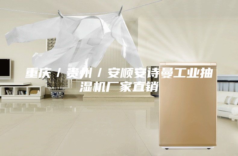 重庆／贵州／安顺安诗曼工业抽湿机厂家直销