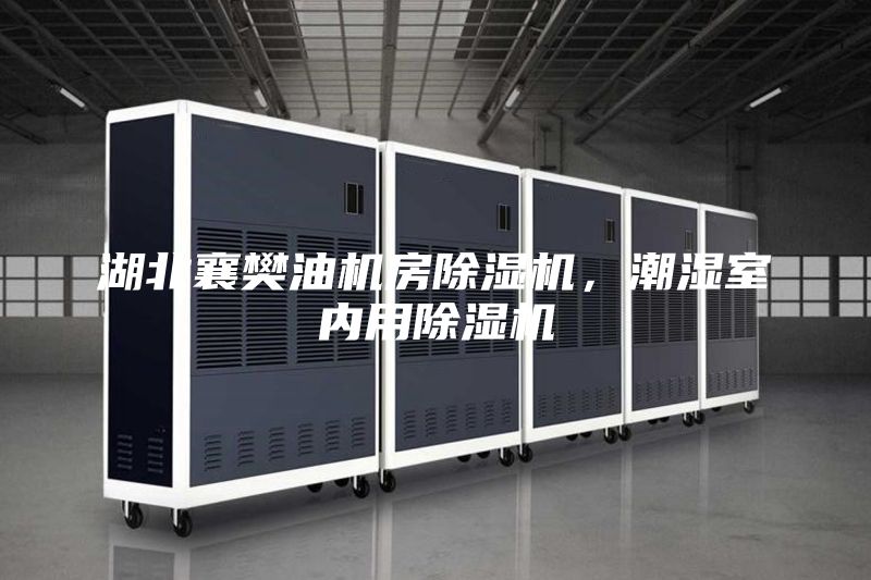 湖北襄樊油机房除湿机，潮湿室内用除湿机