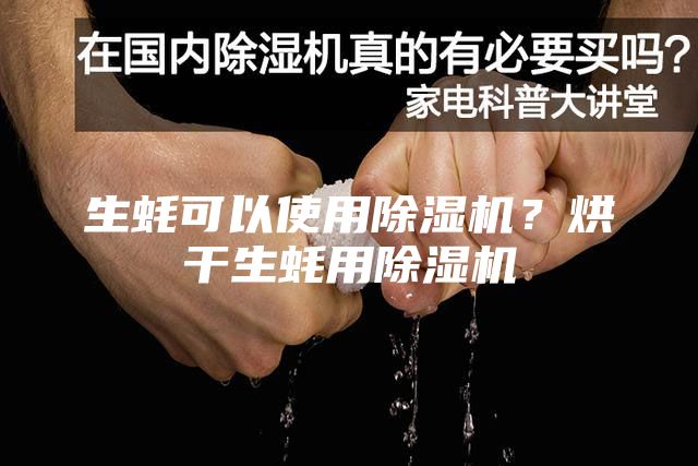 生蚝可以使用除湿机？烘干生蚝用除湿机