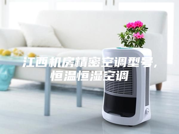 江西机房精密空调型号,恒温恒湿空调