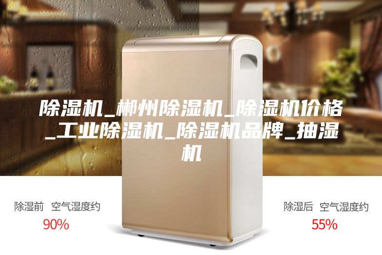 除湿机_郴州除湿机_除湿机价格_工业除湿机_除湿机品牌_抽湿机