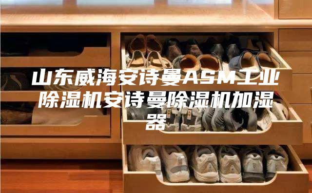 山东威海安诗曼ASM工业除湿机安诗曼除湿机加湿器