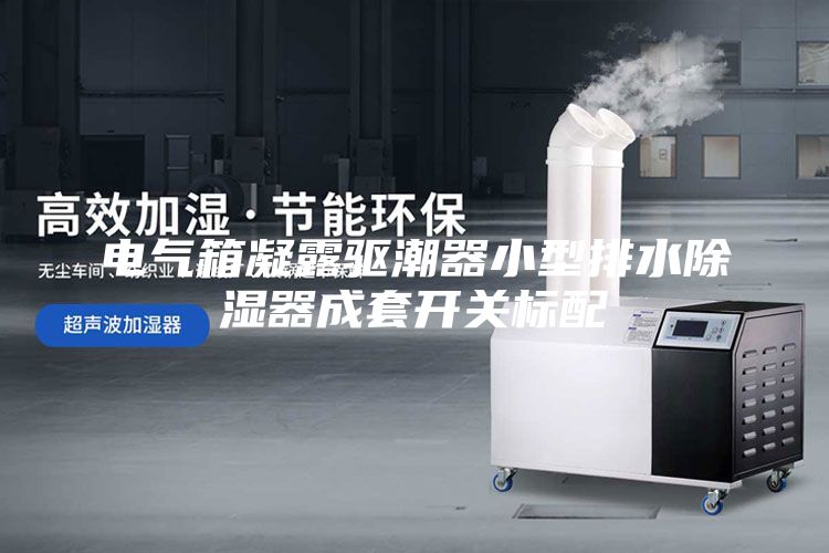 电气箱凝露驱潮器小型排水除湿器成套开关标配