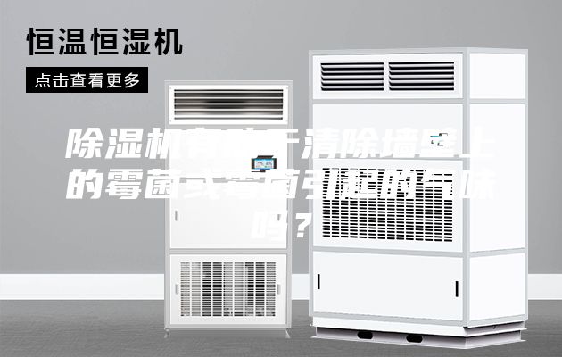除湿机有助于清除墙壁上的霉菌或霉菌引起的气味吗？