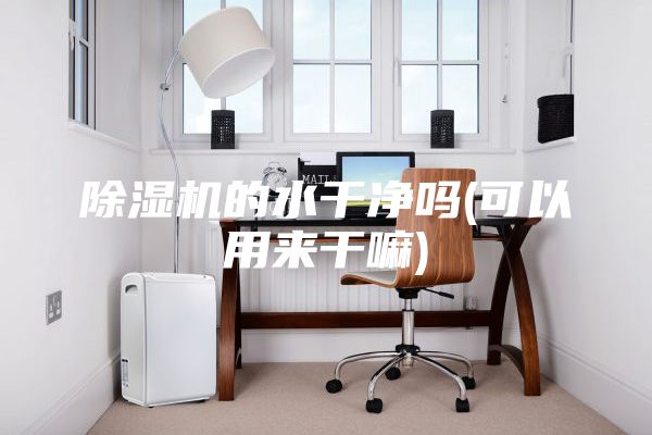 除湿机的水干净吗(可以用来干嘛)