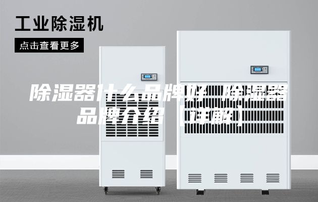 除湿器什么品牌好 除湿器品牌介绍【详解】