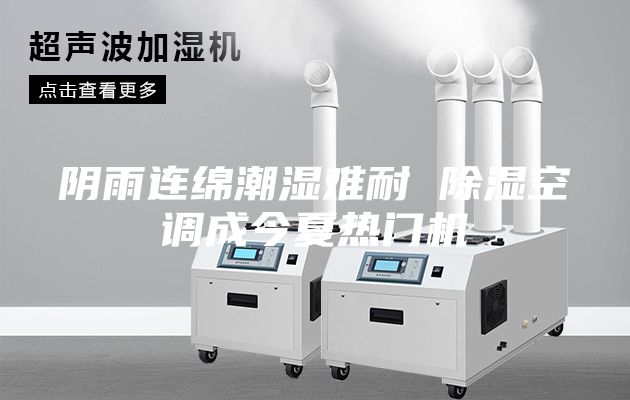 阴雨连绵潮湿难耐 除湿空调成今夏热门机
