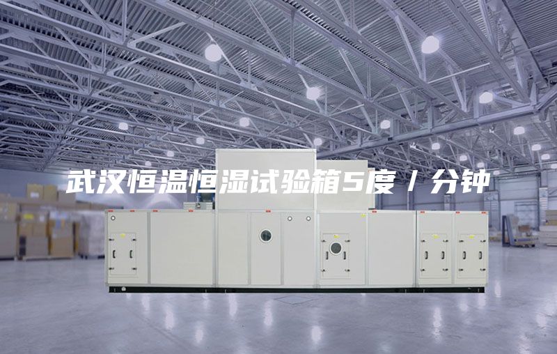 武汉恒温恒湿试验箱5度／分钟