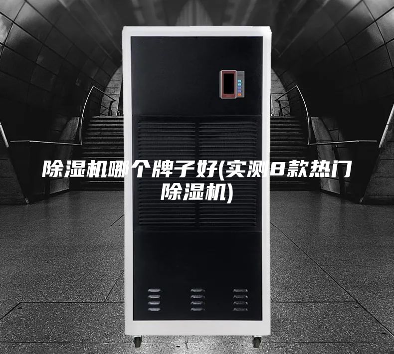 除湿机哪个牌子好(实测8款热门除湿机)