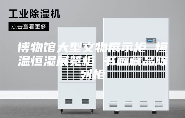 博物馆大型文物展示柜 恒温恒湿展览柜 书画藏品陈列柜