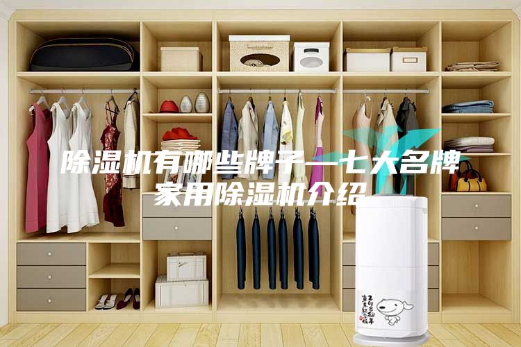 除湿机有哪些牌子—七大名牌家用除湿机介绍