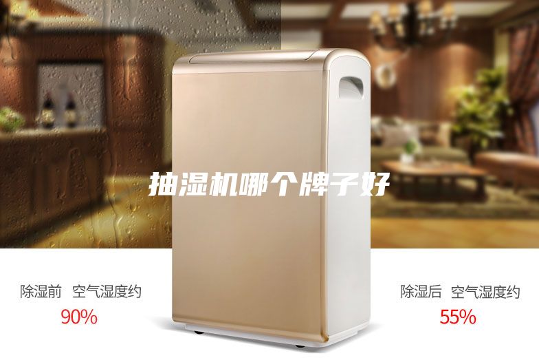 抽湿机哪个牌子好