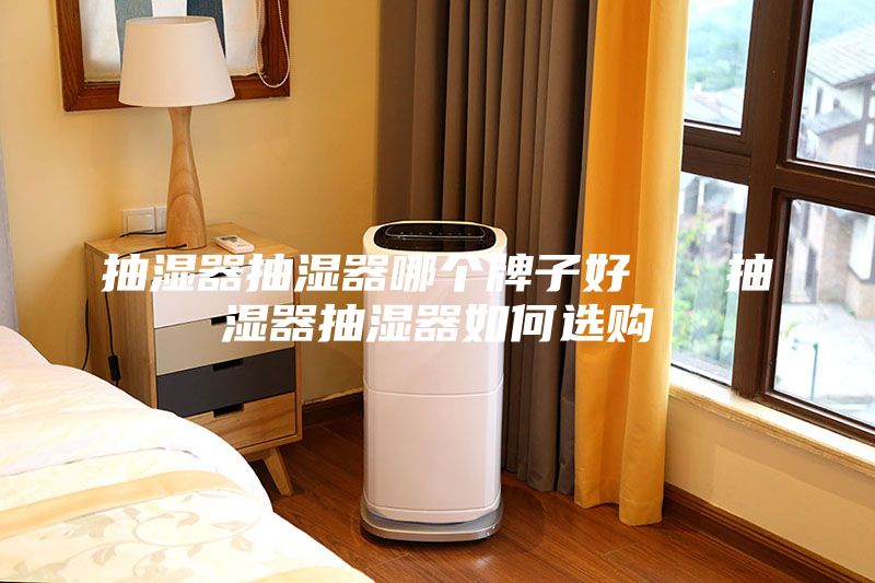 抽湿器抽湿器哪个牌子好   抽湿器抽湿器如何选购
