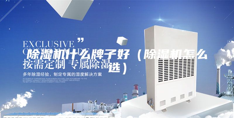 除湿机什么牌子好（除湿机怎么选）