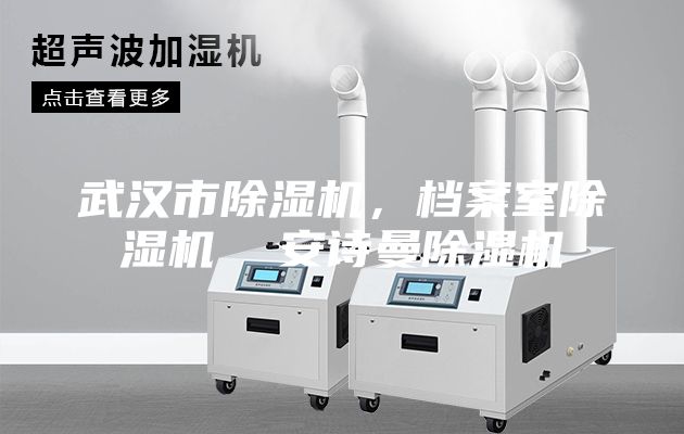武汉市除湿机，档案室除湿机  安诗曼除湿机