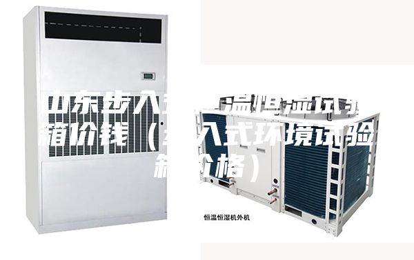 山东步入式恒温恒湿试验箱价钱（步入式环境试验箱价格）