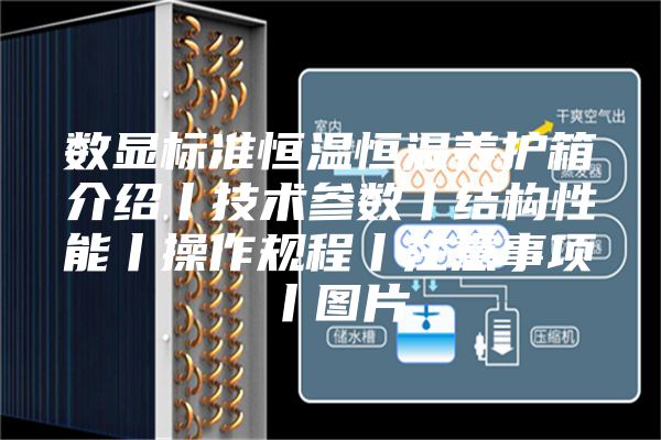 数显标准恒温恒湿养护箱介绍丨技术参数丨结构性能丨操作规程丨注意事项丨图片