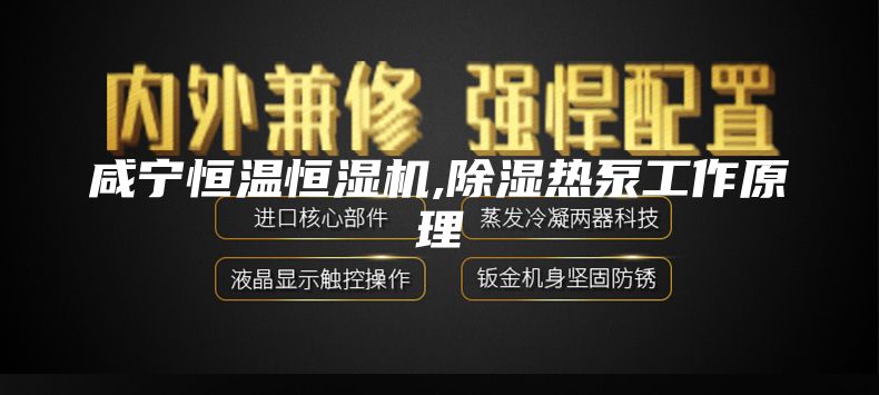 咸宁恒温恒湿机,除湿热泵工作原理