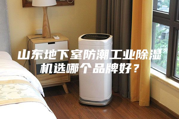 山东地下室防潮工业除湿机选哪个品牌好？