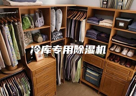 冷库专用除湿机
