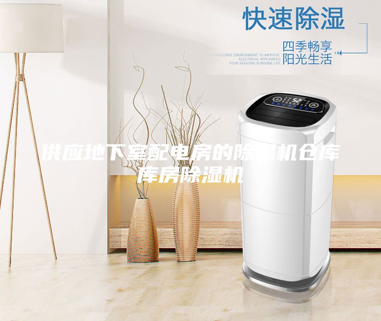 供应地下室配电房的除湿机仓库库房除湿机