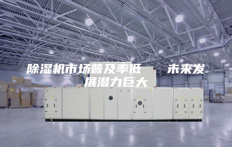 除湿机市场普及率低   未来发展潜力巨大