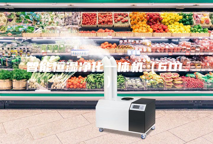 智能恒湿净化一体机（60L）