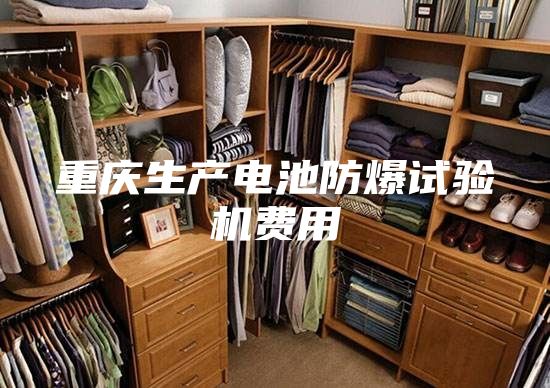 重庆生产电池防爆试验机费用