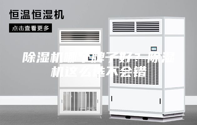 除湿机哪个牌子好？除湿机这么选不会错