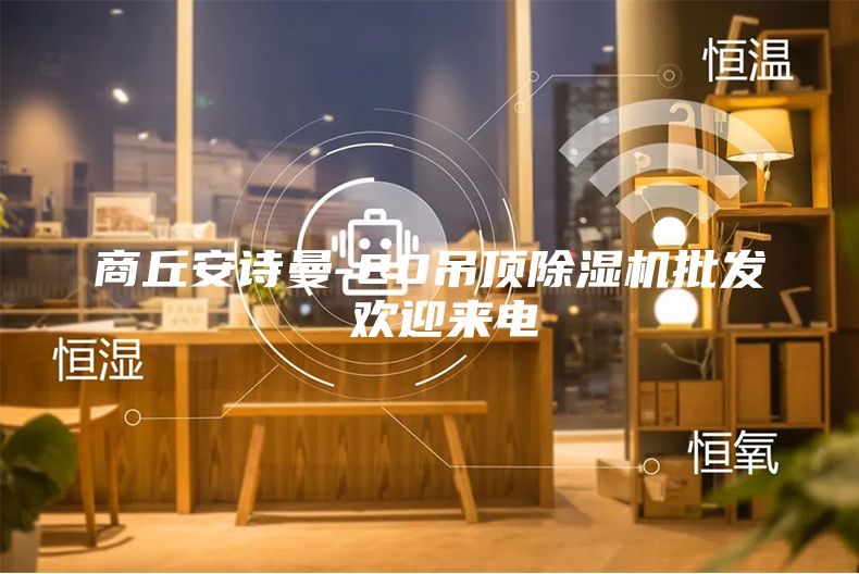 商丘安诗曼-20吊顶除湿机批发 欢迎来电