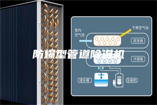 防爆型管道除湿机