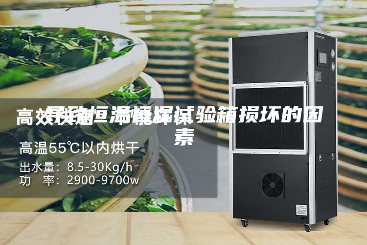 导致恒温恒湿试验箱损坏的因素