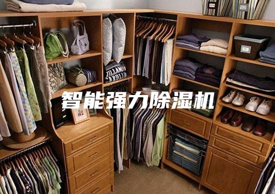 智能强力除湿机
