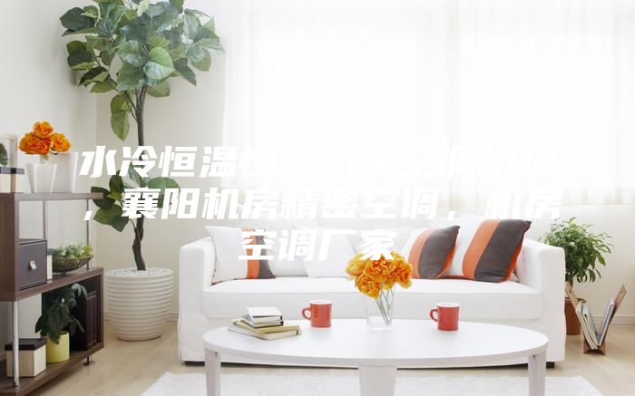 水冷恒温恒湿机房空调机组,襄阳机房精密空调,机房空调厂家