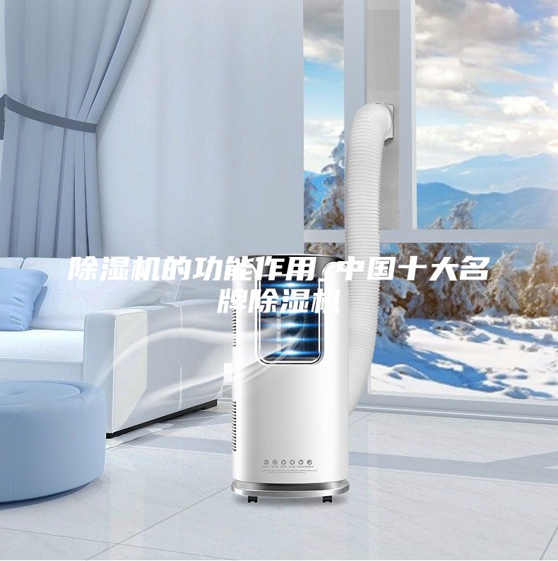 除湿机的功能作用_中国十大名牌除湿机