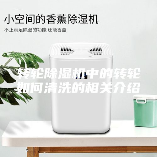 转轮除湿机中的转轮如何清洗的相关介绍